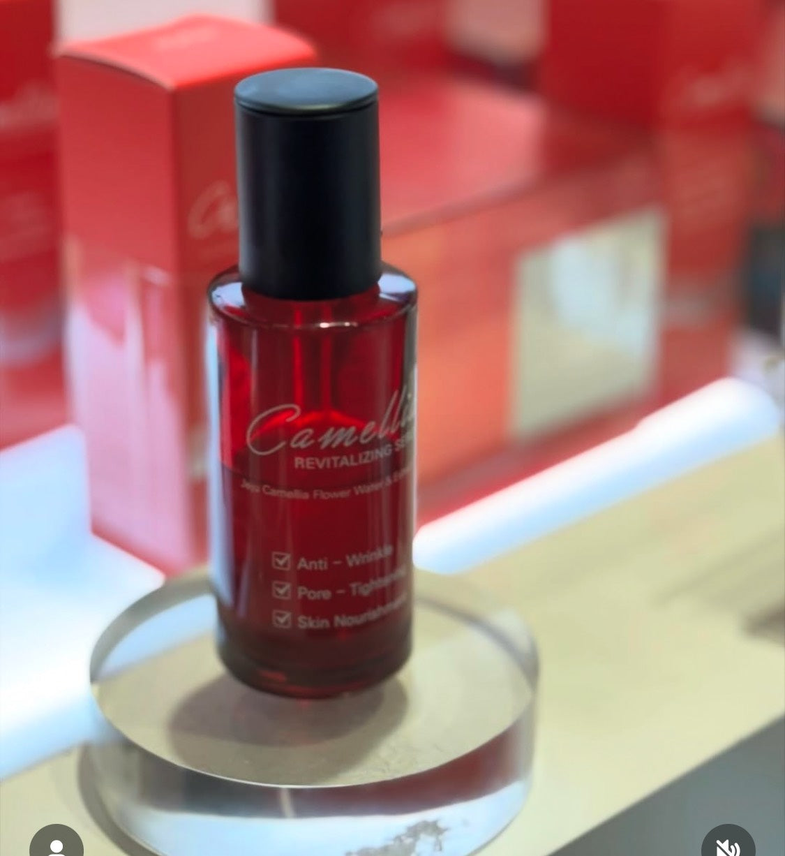 Jejuindi 濟州 山茶花活力精華 30ml (P3206)